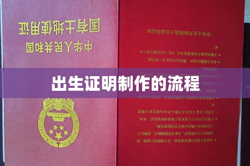 昌吉出生证明制作的流程