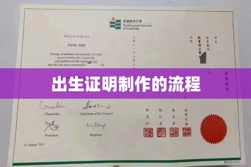 昌吉出生证明制作的流程