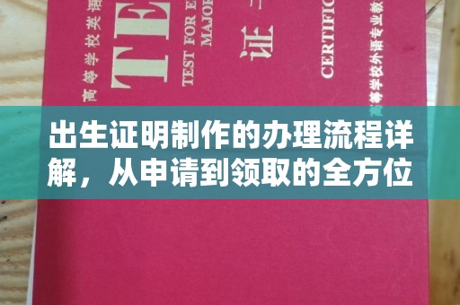 昌吉出生证明制作的办理流程详解，从申请到领取的全方位指南