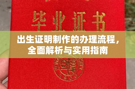 昌吉出生证明制作的办理流程，全面解析与实用指南