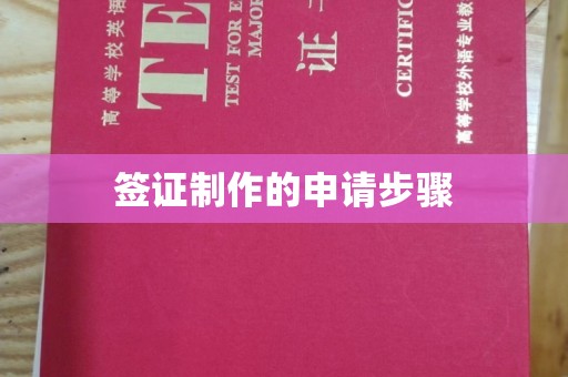 昌吉签证制作的申请步骤