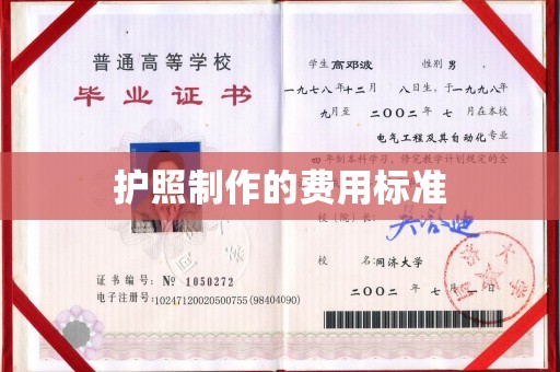 昌吉护照制作的费用标准