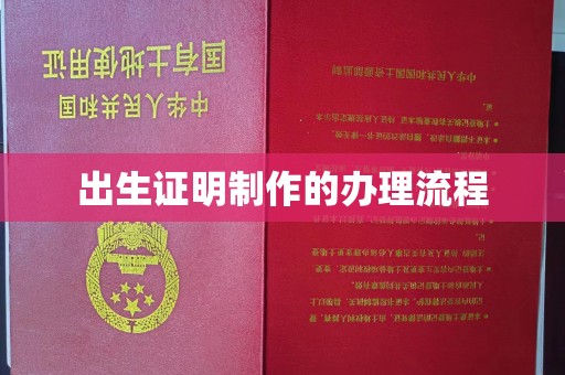 昌吉出生证明制作的办理流程