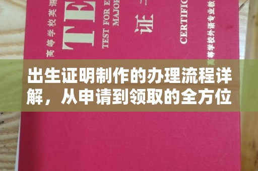 昌吉出生证明制作的办理流程详解，从申请到领取的全方位指南