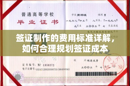 昌吉签证制作的费用标准详解，如何合理规划签证成本